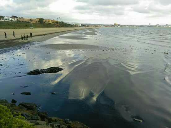 Denunciamos la falta de agilidad en el tratamiento del vertido de crudo en Algeciras Verdes Equo Andalucía