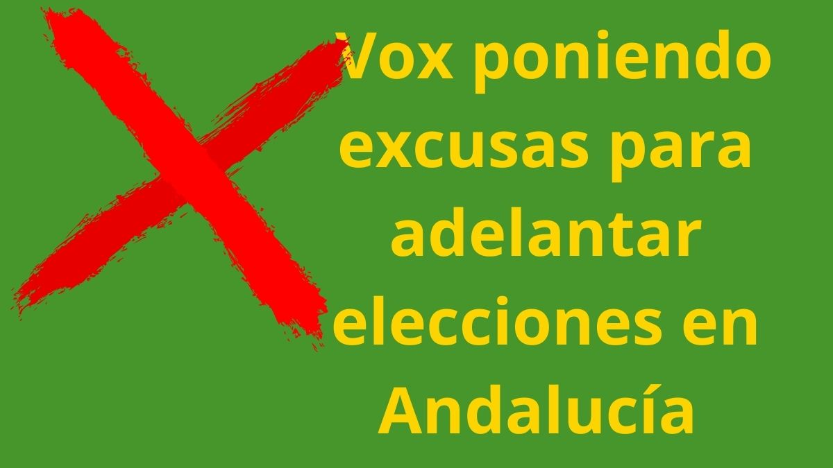 Verdes Equo critica con dureza que VOX busque un adelanto electoral Imagen rechazo excusas de VOX para adelantar elecciones en Andalucía