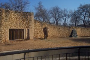 50 Años del Zoológico de Córdoba Verdes Equo Andalucía